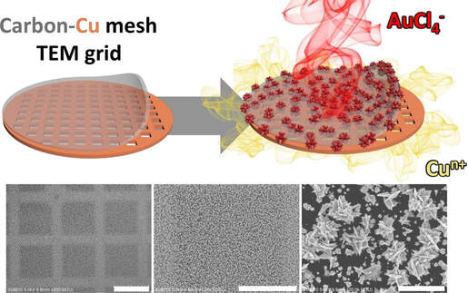 Diffusive ex situ galvanic growth of metal nanocrystals on transmission electron microscopy grid — 대표 그림