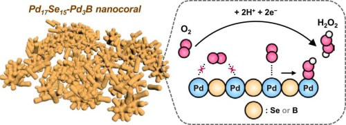 Pd17Se15-Pd3B nanocoral electrocatalyst for selective oxygen reduction to hydrogen peroxide in near-neutral electrolyte — 대표 그림