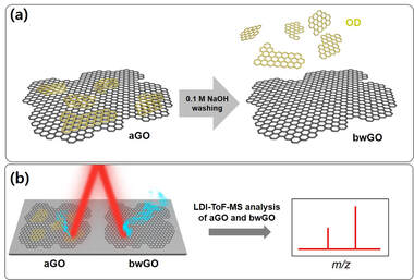 The effect of oxidative debris on the laser desorption/ionization efficiency of graphene oxide derivatives for mass spectrometric analysis of small molecules and synthetic polymers — 대표 그림