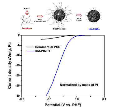 Environmentally friendly synthesis of hierarchical mesoporous platinum templated by fucoidan biopolymer for enhanced water-splitting efficiency — 대표 그림