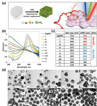 Hydrothermal galvanic-replacement tethered synthesis of Ir-Ag-IrO2 nanoplates for computed tomography-guided multi-wavelength potent thermodynamic cancer therapy — 대표 그림