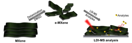 Exfoliated MXene as a mediator for efficient laser desorption/ionization mass spectrometry analysis of various analytes — 대표 그림