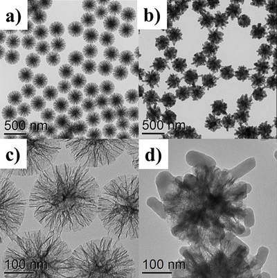 Development of dual-pore coexisting branched silica nanoparticles for efficient gene-chemo cancer therapy — 대표 그림