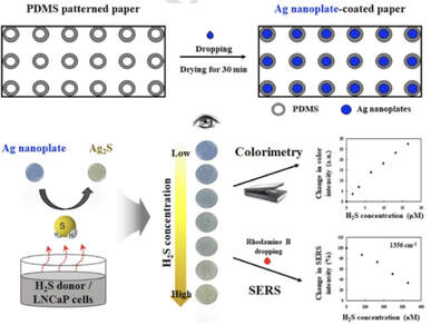 A dual-mode colorimetric and SERS detection of hydrogen sulfide in live prostate cancer cells using a silver nanoplate-coated paper assay — 대표 그림