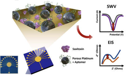 Electrochemical biosensor with aptamer/porous platinum nanoparticle on round-type micro-gap electrode for Saxitoxin detection in fresh water — 대표 그림