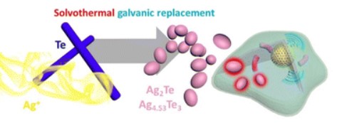 Rod-to-sphere elemental reconstruction of biocompatible Ag2Te-Ag4.53Te3 nanoparticles for breast cancer photo-nano therapy — 대표 그림