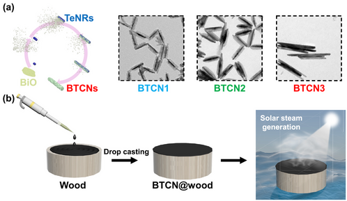 Oxidation tolerant Bi-Te covered nanorods mediated efficient solar steam generation for desalination — 대표 그림