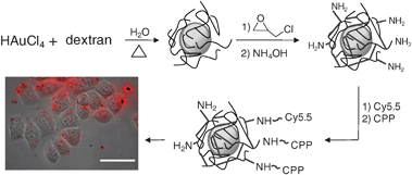 Facile synthesis of robust and biocompatible gold nanoparticles — 대표 그림
