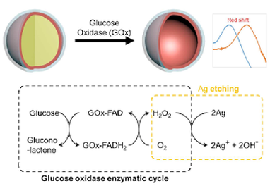 Highly precise plasmonic and colorimetric sensor based on enzymatic etching of nanospheres for the detection of blood and urinary glucose — 대표 그림
