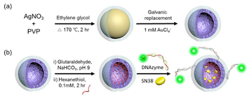 Self-assembled monolayer mediated surface environment modification of PVP-coated hollow Au-Ag nanoshells for enhanced loading of hydrophobic drug and efficient multi-modal therapy — 대표 그림