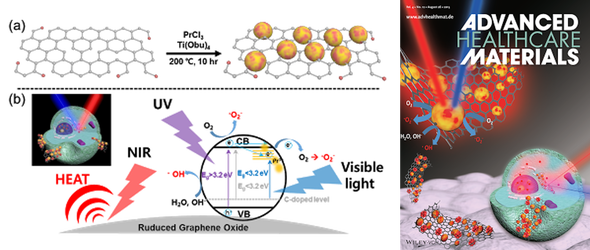 Dual-wavelength irradiation and Dox delivery for cancer cell ablation with photocatalytic Pr doped TiO2@NGO hybrid nanocomposite — 대표 그림