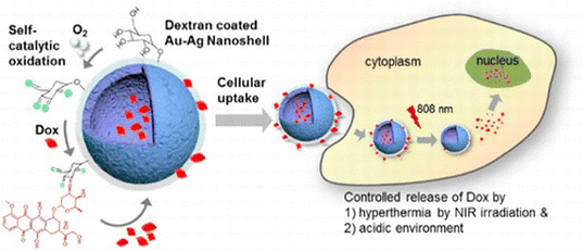 Facile synthesis and intraparticle self-oxidation of dextran-coated hollow Au-Ag nanoshell and its application for chemo-thermotherapy — 대표 그림