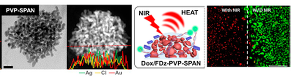 Spherically-clustered porous Au-Ag nanoparticle prepared by partial inhibition of galvanic replacement and its application for efficient multi-modal therapy — 대표 그림
