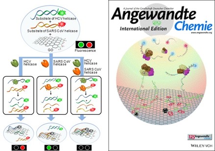 Discovery of highly selective hepatitis C virus NS3 helicase inhibitors by a multiplexed, high-throughput helicase activity assay based on graphene-oxde — 대표 그림