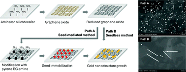 The direct growth of gold rods on graphene thin films — 대표 그림