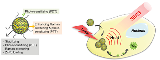 One pot synthesis of multifunctional Au@graphene oxide nanocolloid core-shell nanoparticle for Raman bioimaging, photothermal and photodynamic therapy — 대표 그림
