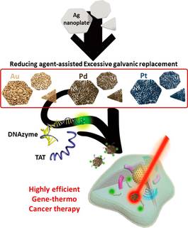 Revisiting of Pd nanoparticles in cancer treatment: all-round excellence of porous Pd nanoplates in gene-thermo combinational therapy — 대표 그림