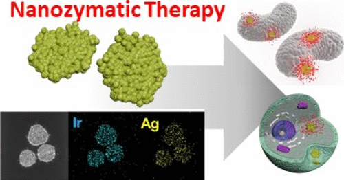 Intrinsic peroxidase-mimicking Ir nanoplates for nanozymatic anticancer and antibacterial treatment — 대표 그림