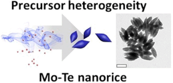 Precursor heterogeneity driven Mo-Te nanoparticle structural diversification for cancer photo-theranostics — 대표 그림