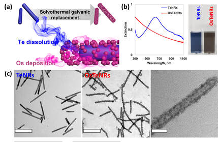Osmium-tellurium nanozymes for penta-modal combinatorial cancer therapy — 대표 그림