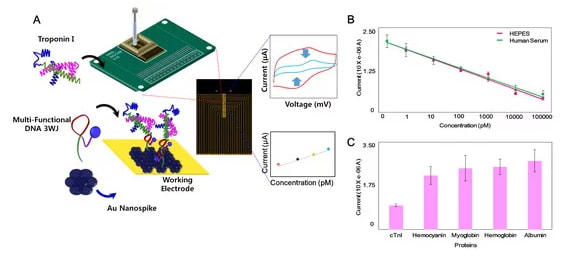Development of the troponin detection system based on the nanostructure — 대표 그림