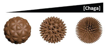 Synthesis of porous Pd nanoparticles by therapeutic chaga extract for highly efficient tri-modal cancer treatment — 대표 그림