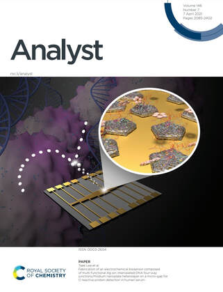 Fabrication of electrochemical biosensor composed of multi-functional Ag ions intercalated-DNA 4-way junction/rhodium nanoplate heterolayer on micro-gap for C-reactive protein detection in human serum — 대표 그림