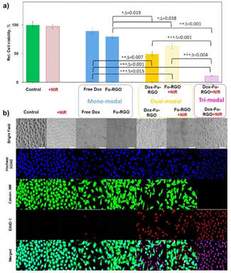 Synthesis of biologically-active reduced graphene oxide by using fucoidan as a multifunctional agent for combination cancer therapy — 대표 그림