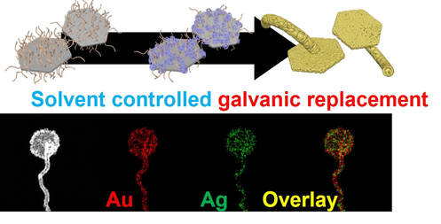 Synthesis of gold nano-mushroom by solvent-controlled galvanic replacement for enhancing phototherapeutic efficiency — 대표 그림