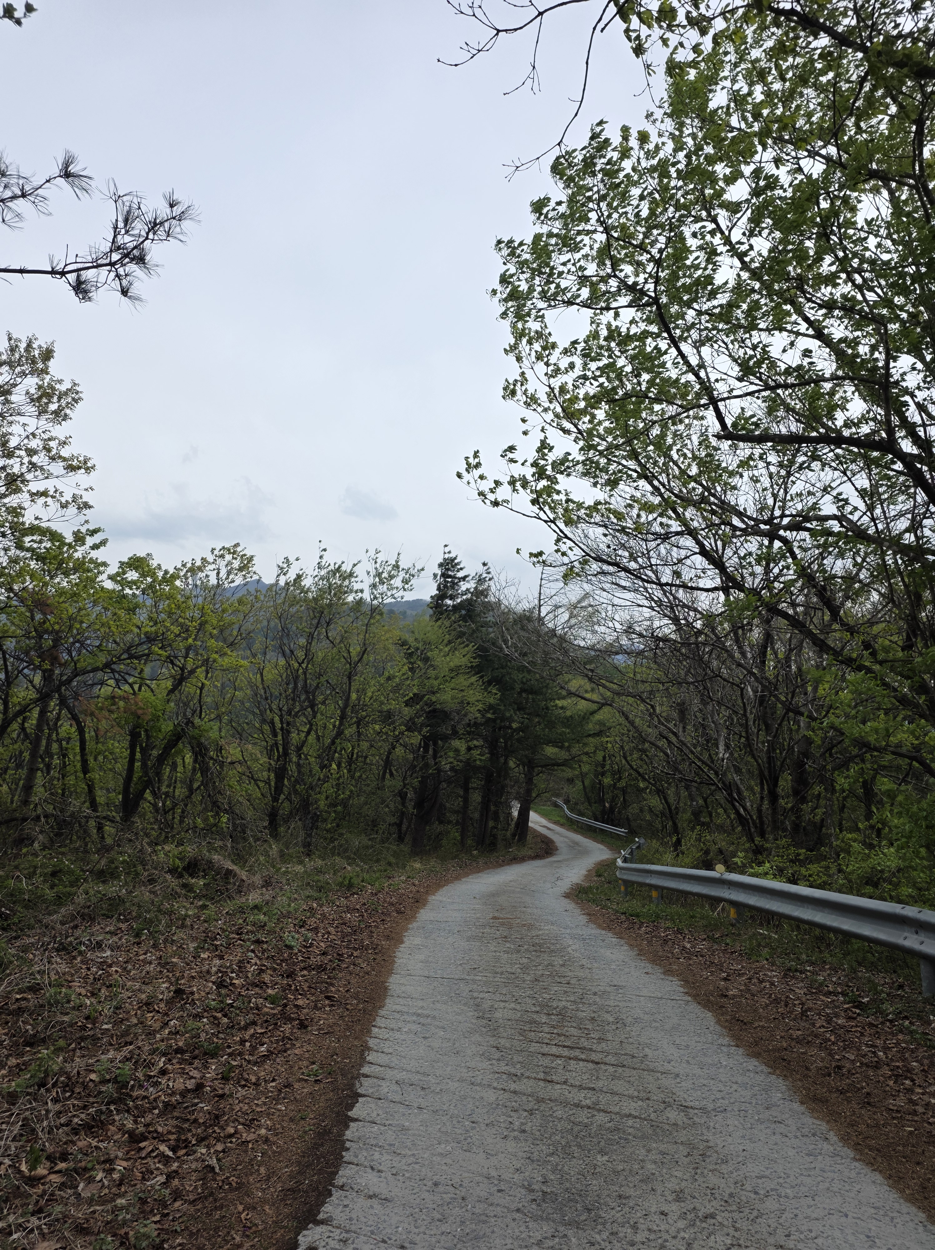 굽이치는 소백산 산길