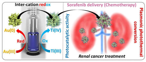 Wavelength independent photo-chemo tri-modal combinatorial renal cell carcinoma therapy with biocompatible gold-titania nanostars — 대표 그림