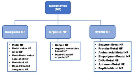 Inorganic nanoflowers - synthetic strategies and physicochemical properties for biomedical applications: A review — 대표 그림