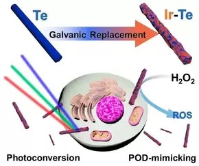 Peroxidase-mimicking Ir-Te nanorods for photoconversion-combined multimodal cancer therapy — 대표 그림