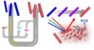 Rhodium-Tellurium nanorod synthesis using galvanic replacement-polyol regrowth for thermo-dynamic dual-modal cancer phototherapy — 대표 그림