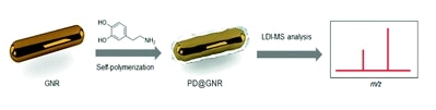 The influence of polydopamine coating on gold nanorods for laser desorption/ionization time-of-flight mass spectrometric analysis — 대표 그림