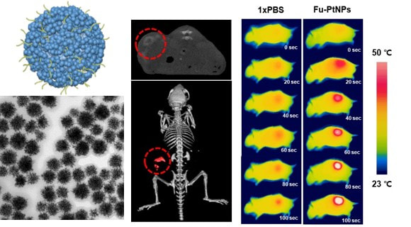 Fucoidan-coated coral-like Pt nanoparticles for computed tomography-guided highly enhanced synergistic anticancer effect against drug-resistant breast cancer cells — 대표 그림