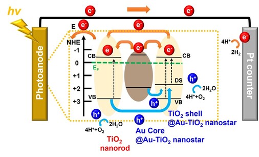 Surfactant-free one-pot synthesis of Au-TiO2 core-shell nanostars by inter-cation redox reaction for photoelectrochemical water splitting — 대표 그림