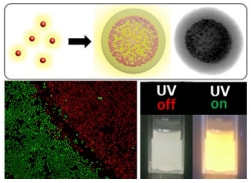 Synthesis of Fluorescent Au Nanocrystals-Silica Hybrid Nanocomposite (FLASH) with Enhanced Optical Features for Bio-imaging and Photodynamic Activity — 대표 그림